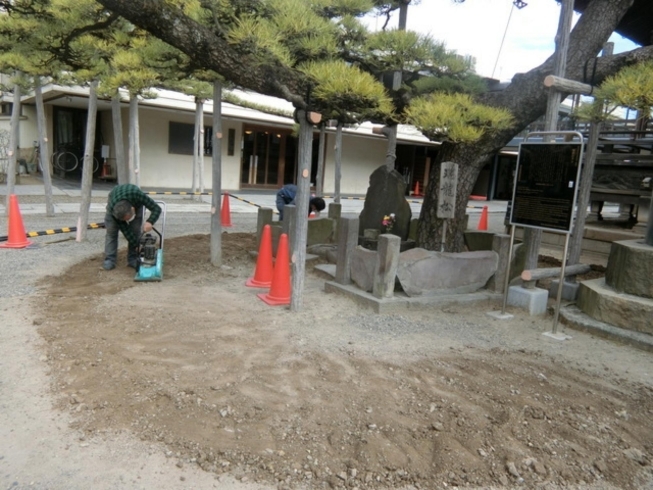 「2月25日（木）帝釈天にて瑞龍の松の寒肥が行われた《柴又亀家おかみの独り言》【柴又名物草だんごが人気☆柴又帝釈天から一番近いお団子屋】」