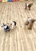 まるくんも楽しい😆💕「ましゅまろ幼稚園　🐶」