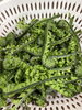 彩り豊かな山菜ご提供中！「春の山菜天ぷらと手打ちそばで味わう茅野市のそばランチ」