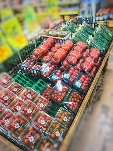 「ファームマート」新鮮で安全な野菜を低価格で販売しています！