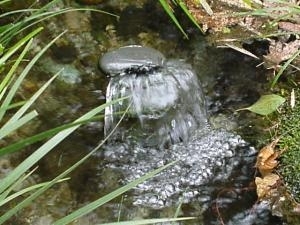 前名寺の庭に湧き出る名水