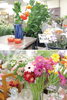 珍しい花にも出会えますのでフラっとお花を見に来て下さい。「フラワーショップ Luce」