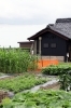 「SHARE＆COMMUNITY SPACE Wa」