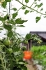 「SHARE＆COMMUNITY SPACE Wa」