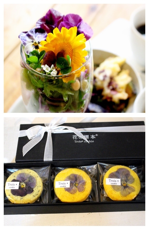 Cafe 3 お花を見て食べて癒される心の美養 吉田 鹿児島市と日置市のいちおしランチ特集 まいぷれ 鹿児島 日置 Cafe 3 お花を見て食べて癒される心の美養 吉田 鹿児島市と日置市のいちおしランチ特集 まいぷれ 鹿児島 日置