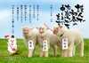 「あけましておめでとうございます。　高住センター　老人ホーム見学情報　（寝屋川　枚方　交野　守口　門真　大東　四條畷）」