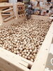 ひのきのプール🥚「🎪たのしく遊びましょう🤹‍♀️」