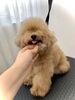 カット前です「はじまして　^ - ^」