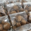 コーヒークッキー(10ケ入)