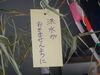 「伝統行事「七夕カヌー流し」（9年連続9回目）が行われました」