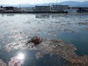 「流木に注意！　5月31日」