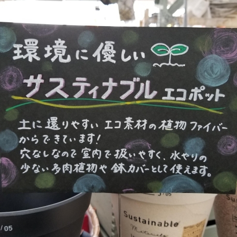 「環境に優しいサスティナブルエコポットが沢山入荷しました☺️」