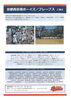 「京都西京極ボーイズ硬式野球体験会のご案内【新中学1年生対象】」