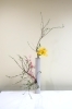 生徒様の作品です「【銀座　いけばな教室】春の花をいけました🌸」