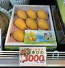 茂木びわ「旬の味覚が勢ぞろい！京都産たけのこから夏のすいかまで店頭に並びました🍉🌞」