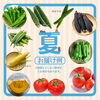 「創業74年のプロが厳選！舞鶴産の旬のおまかせ野菜BOX🥕🥬」