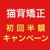 一日3名様に限りの特別料金です！「猫背矯正が初回半額！【宮崎市で猫背矯正ができる整骨院】」