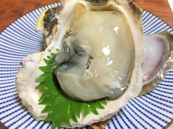 ひと口では食べきれません！「紫」