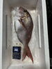 「隠岐の島からフェリー🚢で新鮮な魚🐟を届けて下さいました」