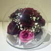 「花束を記念に残せます【宮崎/ドライフラワー/花束保存/花束加工/プロポーズ】」