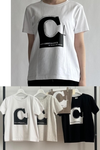 ベーシックTシャツ 着丈61㎝ ¥12100「これからが役立つお洒落なTシャツが入荷❗」