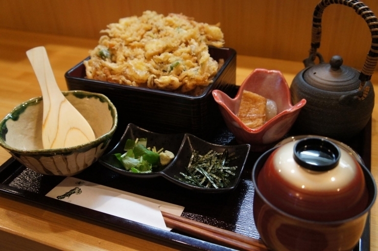 川崎市のお手頃ランチ7選 編集部選 川崎のまとめ情報 まいぷれ 川崎市 川崎市のお手頃ランチ7選 編集部選 川崎のまとめ情報 まいぷれ 川崎市