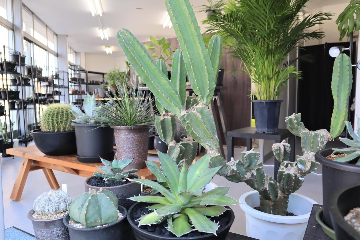 F 8fahvrzbxwem F 8fahvrzbxwem