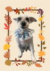 「Dog salon mofu mofu　余市町」