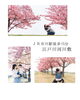 「【河津桜撮影会のご案内】」