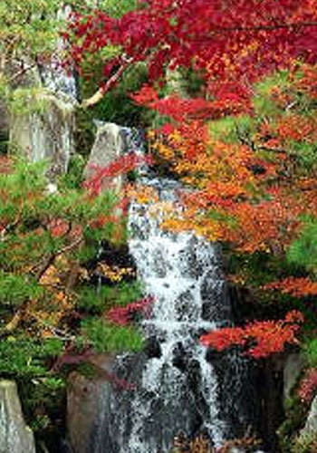 三景園 尾道 三原 紅葉特集 まいぷれ 尾道市 三景園 尾道 三原 紅葉特集 まいぷれ 尾道市