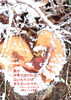 「対等な愛」
