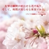 瞬間の花と時間の果実