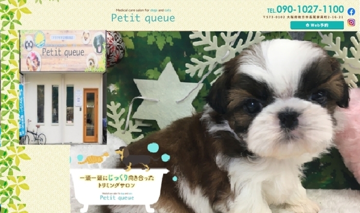 「犬・猫トリミングサロン Petit queue（プティ クー）」一頭一頭にじっくり向き合ったトリミングサロン