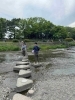 鴨川の飛び石。ちょっとドキドキする・・「下鴨神社2日連続参拝☆葵祭～下鴨神社～上賀茂神社の牛車追っかけの巻～」