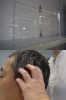 「BarBer's Hosoi（バーバーズ ホソイ）」