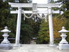 佐良志奈神社「🍁紅葉の様子Vol.3🍁【戸倉上山田温泉　有田屋旅館　長野県　紅葉旅】」