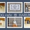 ドッグカフェ 悠HARUKA