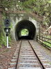 廃線跡を散策「大自然の中に冒険の旅へ/静岡県のレンタル水槽はアクアデザインブルース/生き物のプロ/一度は行ってみたいスポット/」