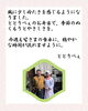 ごあいさつ「【今週のお弁当のご紹介🍂】」