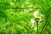 「公園が多い？！」