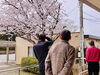 「春ですね」