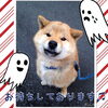 「工事中。。。」