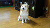 「ため息は、上を向いてつきましょう(^ー^).・•*＊」