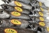 「魚魚市場鮮魚コーナーおすすめは「本ガツオ」です♪」