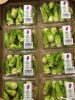 「カネマン通信　　「蕾菜・つぼみな」～春を告げる個性派野菜～」