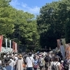 【桶川市】第26回べに花まつりへ行ってみた（2023年）