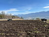 「入笠すずらん山野草公園（標高1,780m）で、ドイツすずらんの植え戻し作業を行いました」