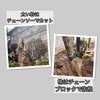 和歌山市松江庭木伐採と抜根「【和歌山市松江】庭木4本の伐採・抜根作業を行いました！」
