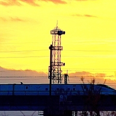 伊奈の風景　夕暮れの原市沼と新幹線