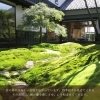 「夢ひろば展示場『まるで旅館のような玄関』」